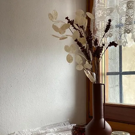 Le-z-eteile De Saint-barthelemy Cir 0026 Vda-nus Vakantiehuis *