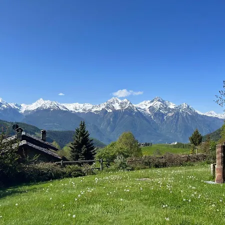 Le-z-eteile De Saint-barthelemy Cir 0026 Vda-nus 누스